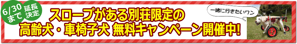 1/8～2/29 スロープがある別荘 限定企画!!