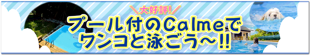プール
